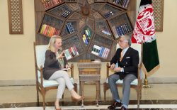 الیس ویلز: امریکا به کمک‌های درازمدت خود در افغانستان ادامه می‌دهد