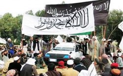 کشته شدن ۷ عضو گروه تروریستی داعش در ولایت ننگرهار
