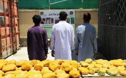 سه قاچاق‌بر مواد مخدر در ولایت ننگرهار بازداشت شدند