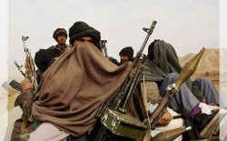 گزارش تازه‌ی سازمان ملل: طالبان همزمان با گفت‌وگوهای صلح برای القاعده پناه‌گاه‌های امن فراهم می‌کنند