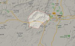 هراس‌افگنان طالب، سه غیرنظامی هزاره‌تبار را در ولایت میدان وردک کشتند