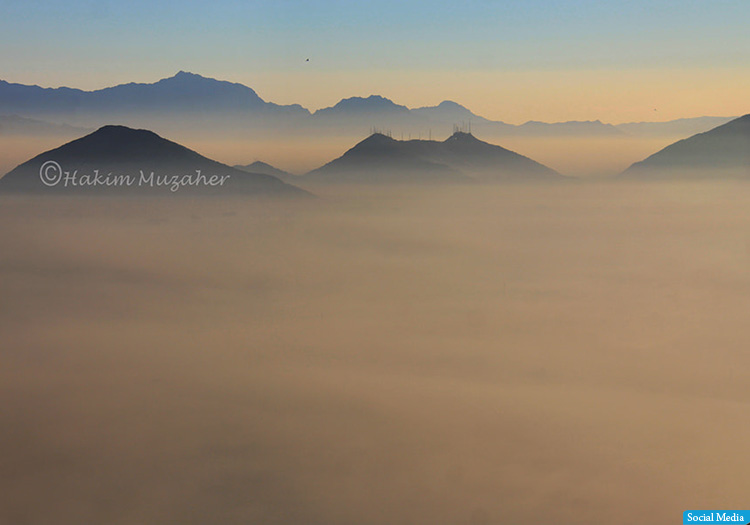 ضرورت فضای سبز و پارک