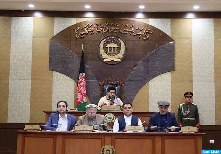 سناتوران: طالبان به صلح تمایلی ندارند و باید سرکوب شوند