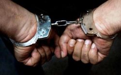 در یک هفته‌ی گذشته، ۳۱ نفر به اتهام قاچاق مواد مخدر به زندان محکوم شدند
