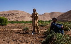 طالبان سه کشاورز را در ولایت سرپل کشتند