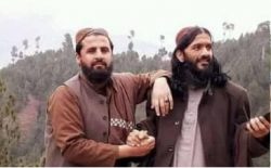 کشته شدن ۱۷ نفر از اعضای گروه تروریستی القاعده در لوگر