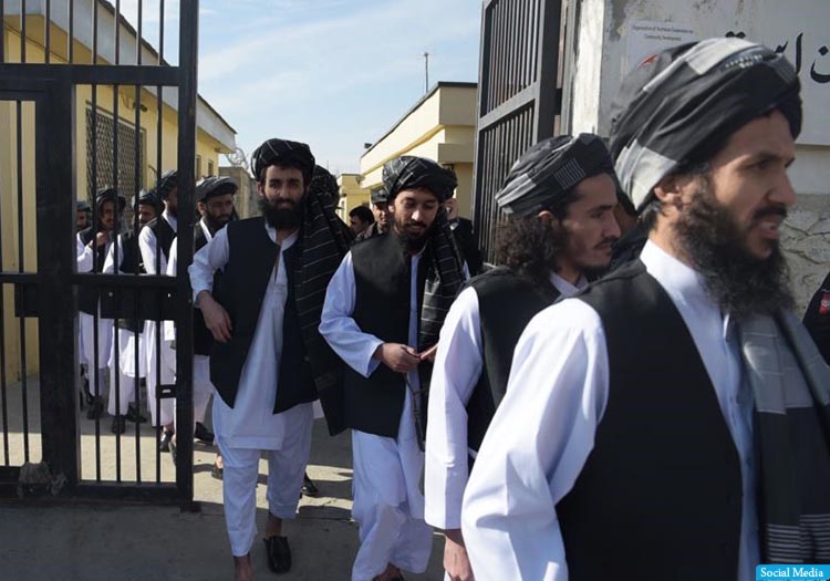 آزادسازی طالبان به چه بهایی؟