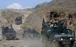 کشته شدن ۲۲ نفر از اعضای خارجی طالبان در ولایت هلمند