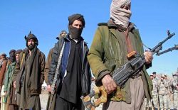 طالبان شش خبرنگار محلی را در ولایت پکتیا آزاد کردند