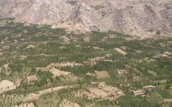 وزارت دفاع: ۱۲ روستا در ولسوالی کجران دایکندی از وجود طالبان پاک شد