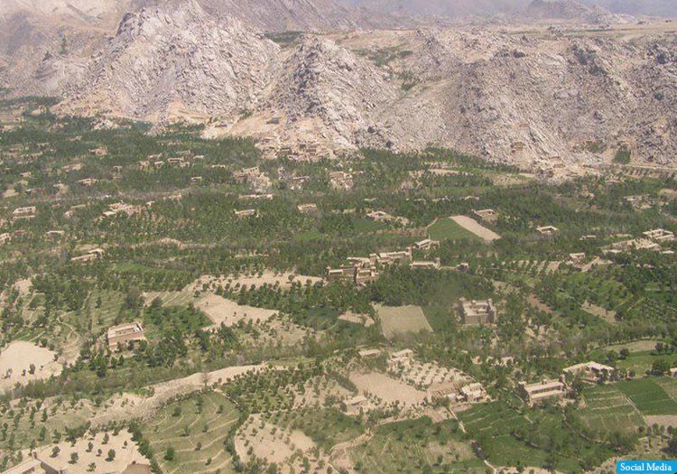 وزارت دفاع: 12 روستا در ولسوالی کجران دایکندی از وجود طالبان پاک شد