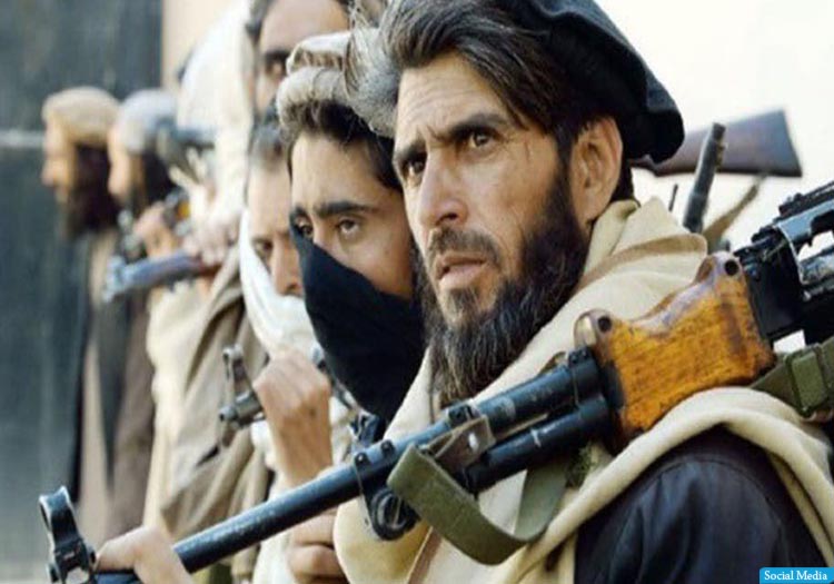 هفت هراس‌افگن طالب از زندان پکتیا فرار کردند