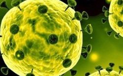 وزارت صحت: هیچ موردی از ویروس کرونا در افغانستان ثبت نشده است