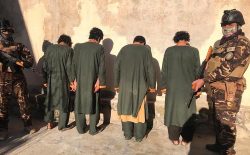 بازداشت ۱۲ نفر به اتهام جرایم سازمان‌یافته در هرات