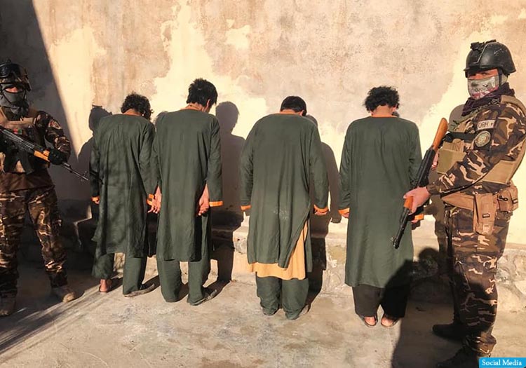 بازداشت 12 نفر به اتهام جرایم سازمان‌یافته در هرات