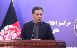 وحید عمر: مذاکرات صلح میان امریکا و طالبان پیشرفت داشته است