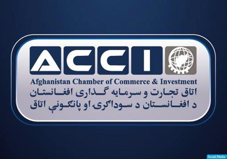 اتاق تجارت و سرمایه‌گذاری: مالیات بر شرکت‌های واردکننده‌ی گندم برداشته شود