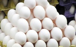 قیمت تخم مرغ به شش افغانی کاهش یافت
