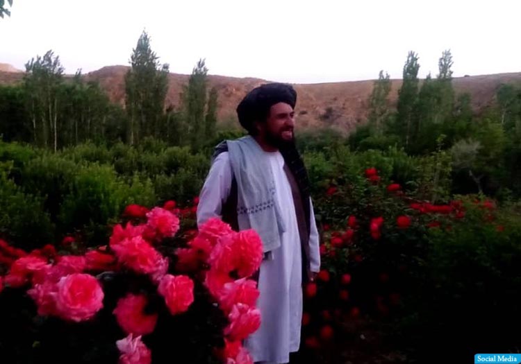 والی‌ نام‌نهاد طالبان برای میدان‌وردک کشته شد