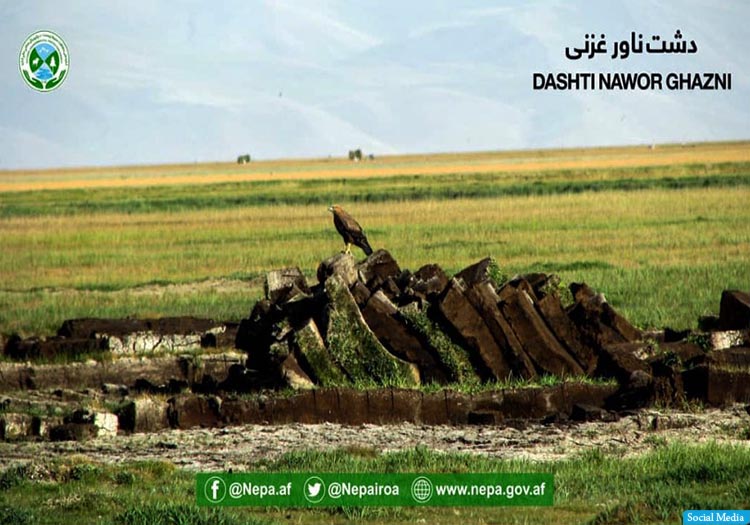 جنگلات نورستان، دشت ناور غزنی، درقد تخار و امام‌صاحب کندز به عنوان ساحات محافظت‌شده شناخته شد