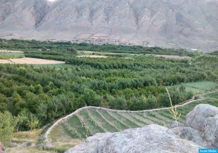 اصابت مرمی راکت در ولایت کاپیسا جان سه غیرنظامی را گرفت
