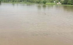 جاری شدن سیلاب در ننگرهار ۱۷ کشته به جا گذاشت