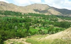 کشته شدن ۳۰ هراس‌افگن طالب در بغلان