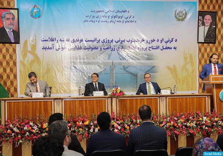 انورالحق احدی: افغانستان سالانه یک‌ونیم میلیون تُن گندم و آرد وارد می‌کند
