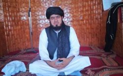 طالبان یک عالم دین را در ولایت پکتیا کشتند