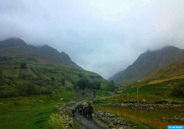 لغزش تپه‌ی گل در بامیان، جان دو برادر را گرفت