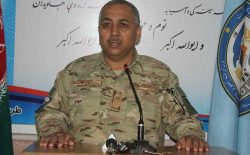 فرمانده‌ی پولیس هرات: به تروریستان و دزدان شلیک کنید