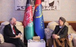 راس ویلسن: حکومت جدید امریکا نیز خواهان برقراری صلح در افغانستان است