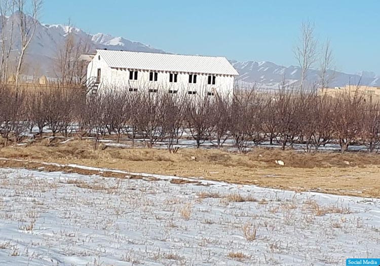 پکتیا کې سلګونه زېرمتونونه او سړې خونې جوړې شوې