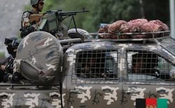 هسته‌ی مشترک شبکه‌ی حقانی و داعش در کابل بازداشت شد
