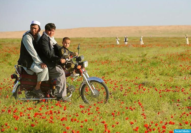 نوروز جشن طبیعت است نه بدعت شریعت!