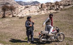 حضور القاعده در افغانستان و ارتباط آن با طالبان؛ چالشى در برابر نشست استانبول