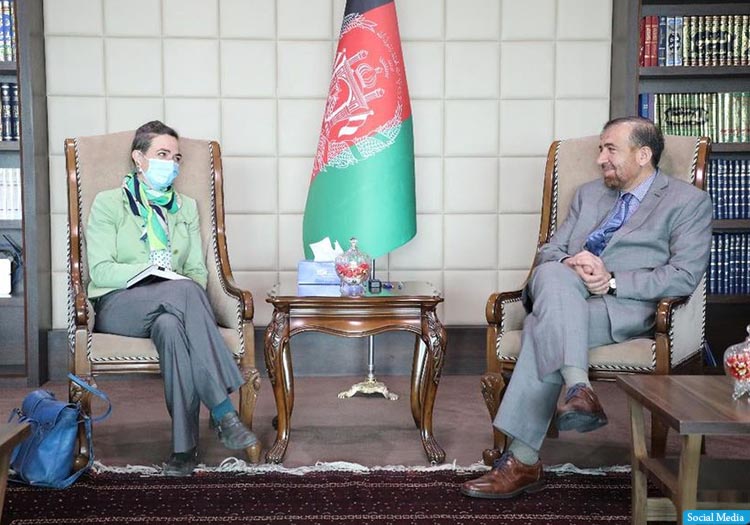 فضل‌احمد معنوی: تلاش داریم تا عدالت غیرقضایی از طریق شوراها و جرگه‌ها قانونی شود
