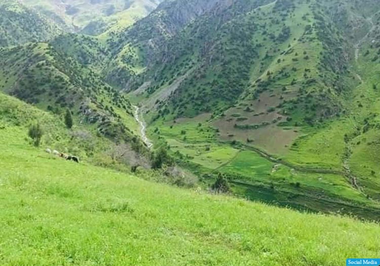 جنگ‌جویان طالب وارد ولسوالی فرخار تخار شدند