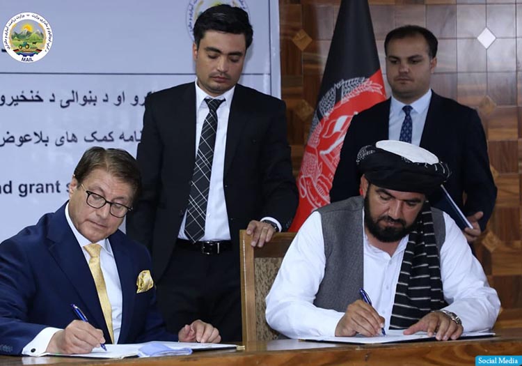 د ځڼغوزیو او ممیزو د پروسس دوې فابریکې جوړیږي