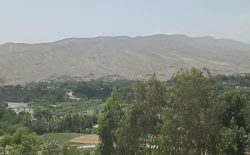 عملیات تصفیوی نیروهای ارتش در ننگرهار؛ ۲۳ هراس‌افگن طالب کشته شدند