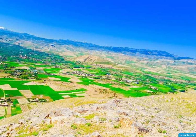 در نخستین روز جنگ در بلخاب، طالبان ۲ کشته و ۱۶ زخمی دادهاند