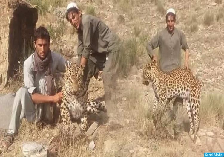 روز جهانی محیط ‌زیست؛ موجودات زنده‌ی حیوانی و نباتی، نباید نابود شوند!‏