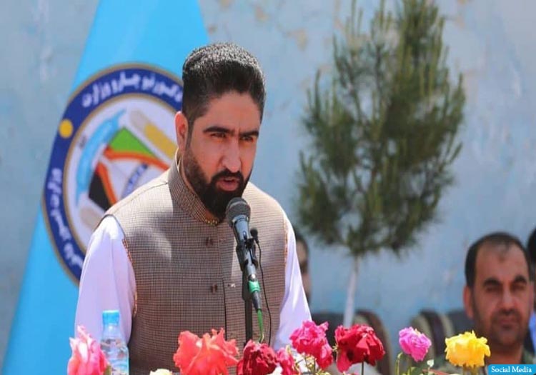 طارق آرین: در شفاخانه‌های پاکستان، جایی برای زخمیان طالبان نمانده است