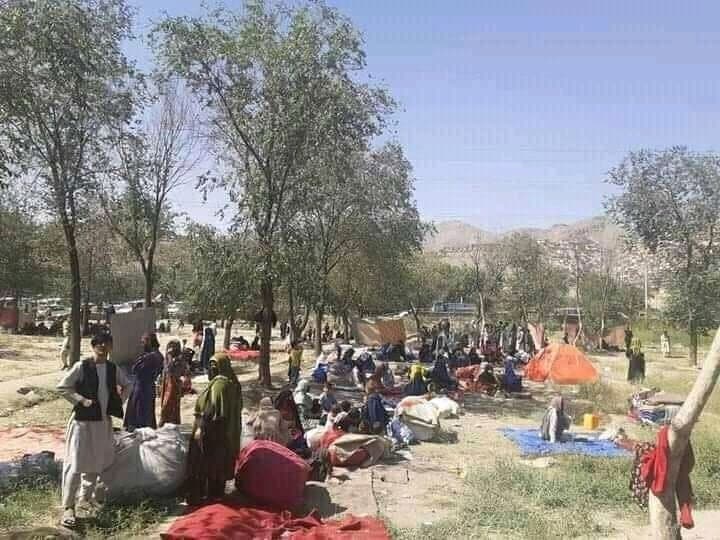 اسکان آوارگان در کابل؛ پنج هزار خیمه بر پا می‌شود