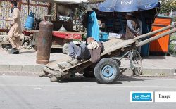 گزارش تازه: ۳۲ میلیون نفر در افغانستان با خطر گرسنگی شدید روبه‌رو اند