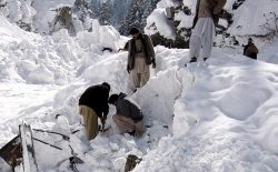 برف‌کوچ در ولایت کنر؛ اجساد ۱۵ نفر از زیر برف بیرون کشیده شده است