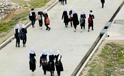 شورای علمای شیعه افغانستان: بازگشایی مکاتب دخترانه، مسؤولیت شرعی و قانونی حکومت طالبان است