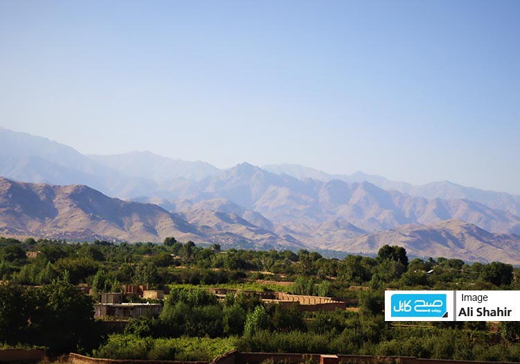 طالبان یک افسر وزارت داخله‌ی پیشین را در کابل کشتند