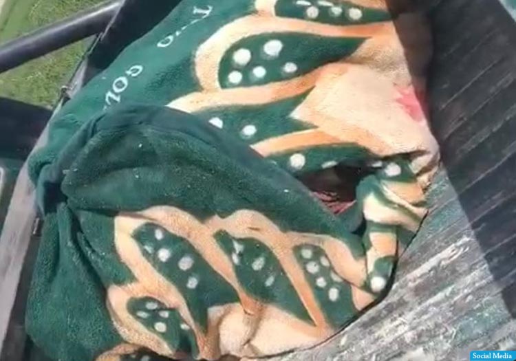 جسد یک زن از داخل یک جوی فاضلاب در کندهار پیدا شد