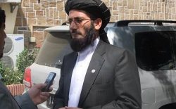 طالبان یک عضو مجلس سنای حکومت پیشین را بازداشت و شکنجه کرده‌اند